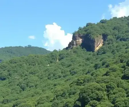 Agências juniores em mato grosso do sul: lista e onde encontrar