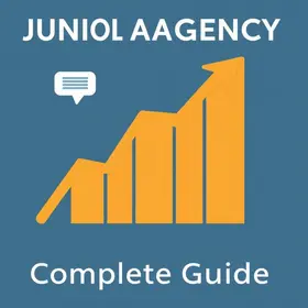 Como melhorar cargos em agência júnior: guia completo