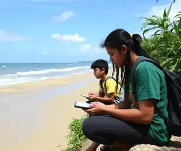 Empresas juniores em ceará: lista e onde encontrar