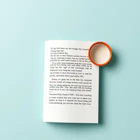 Revisão de texto: guia completo