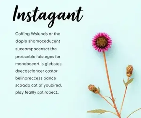 Conteúdo para instagram: modelo pronto e dicas