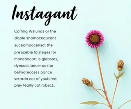 Conteúdo para instagram: modelo pronto e dicas