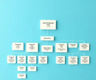 Modelo de organograma de empresa júnior: modelo pronto e dicas